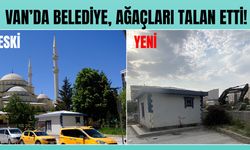 Van’da ucube yapıyı yıkmayan belediye, ağaçları talan etti