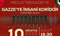 Van’dan Ankara’ya Gazze için yürüyüş! İnsani koridor istiyoruz
