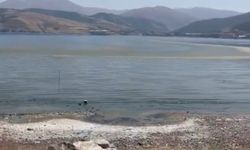Van Gölü için alarm zilleri çalıyor! Onarılamayacak ekolojik kayıp kapıda