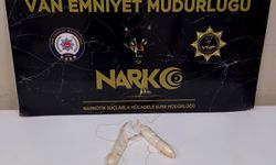 Van’da 236 gram metamfetamin ele geçirildi