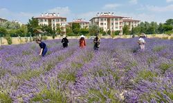 Van’da doğanın şifasıyla buluşulacak