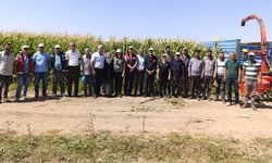 Tuşba’da silajlık mısır hasadı gerçekleştirildi