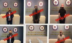 Van’da geniş çaplı şok uygulaması