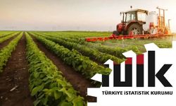 Tarım üretici enflasyonu temmuzda aylık bazda düştü