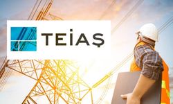 TEİAŞ 17 ilde personel alacak! Aralarında Van var mı?