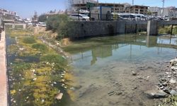 Akköprü Deresi’ndeki çöpler temizlendi
