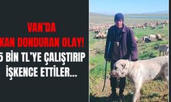 Van’da kan donduran olay! 5 bin TL’ye çalıştırıp işkence ettiler…