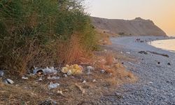 Van Gölü sahilleri çöpten geçilmiyor!