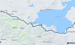 Van ve Muş arası kaç km?