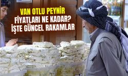 Van Otlu Peynir fiyatları ne kadar? İşte güncel otlu peynir fiyatları…