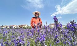 Van'da tıbbi bitkiler bahçesi fotoğraf tutkunlarının gözdesi oldu
