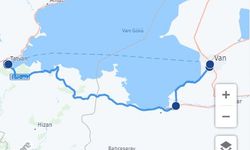 Buzlupınar ve Van arası kaç km?