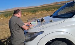 Van’da yırtıcı kuş avına suçüstü