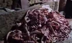 Bir ahırda 1,5 ton uygunsuz et ele geçirildi