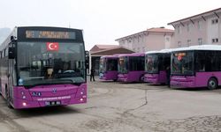 Van'da toplu taşımaya yeni güzergah