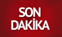 İpekyolu Caddesi’nde şiddetli rüzgar ağaçları devirdi