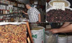 Mevsim geçişlerinde şifalı bitki önerisi