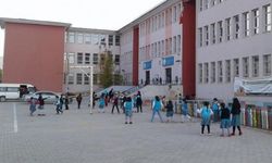 Van Mustafa Necati İlk ve Ortaokulu hakkında bilgi
