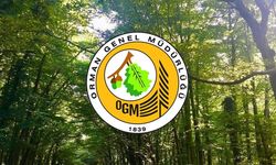 Orman Genel Müdürlüğü'nden 262 Personel Alımı! Başvurular İçin Son Tarih 3 Ekim