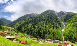 Rize planlı elektrik kesintisi (25.09.2025 Perşembe)