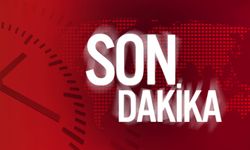 Çaldıran'daki silahlı kavganın nedeni belli oldu! Hayatını kaybedenin kimliği açıklandı
