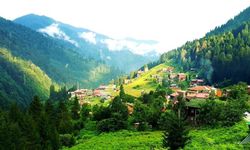 SON DAKİKA: Artvin'de 27 Eylül Kritik Elektrik Kesintisi! Kaç Saat Sürecek?