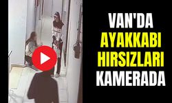 Van'da ayakkabı hırsızları kamerada