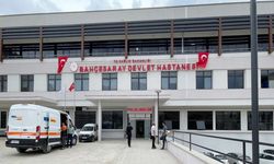 Van Bahçesaray İlçe Devlet Hastanesi