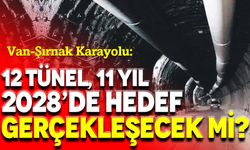 Van-Şırnak Karayolu: 12 Tünel, 11 Yıl ve 2028 Hedefi