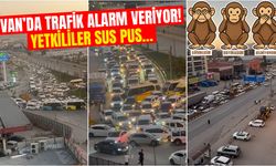 Van’da trafik alarm veriyor! Yetkililer sus pus…