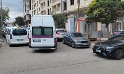Van’da gelişi güzel park, farklı boyut kazandı