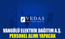 VEDAŞ personel alımı yapacak! İşte başvuru şartları