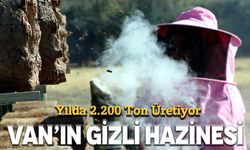 Van’ın Gizli Hazinesi: Yılda 2.200 Ton Üretiyor!