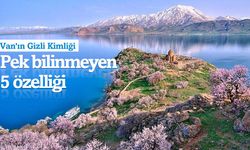 Van'ın Gizli Kimliği: İşte Van'ın pek bilinmeyen 5 özelliği