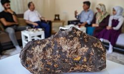 Van’ın Uzaydan Gelen Misafiri: Doğuzağaç