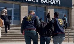 Van’da 25 yıl hapis cezası ile aranan yabancı uyruklu şahıs yakalandı