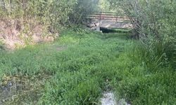 Van’ın binlerce yıllık mirası tarihi Şamran Kanalı kuruyor