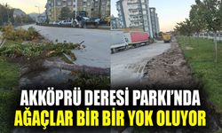 Akköprü Deresi Parkı’nda ağaçlar bir bir yok oluyor