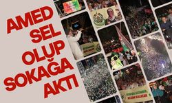 Aksa Tufanı'nın Yıldönümünde Diyarbakır Gazze İçin Ayakta