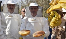 Avrupa Artık Bitlis Balı Yiyecek: İhracat Kapısı Açıldı