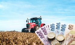 Bakan Yumaklı duyurdu: Çiftçinin hesabına 306 milyon TL aktarılıyor