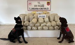 Başkale'de zehir tacirlerine operasyon!