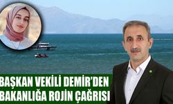 Başkan Vekili Demir’den bakanlığa Rojin Kabaiş çağrısı