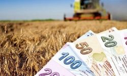 Çiftçiye Müjde: 2,8 Milyar Lira Tarımsal Destek Ödemeleri Hesaplarda!