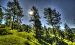 Doğa Koruma ve Milli Parklar Genel Müdürlüğü 13 Personel Alıyor