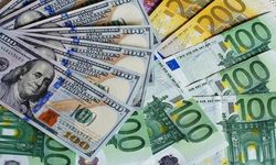 Dolar güne yükselişle başladı, Euro geriledi