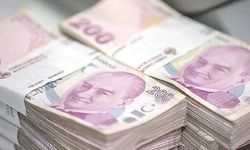 Ekim ayı yaşlı ve engelli aylıkları hesaplara yatırıldı