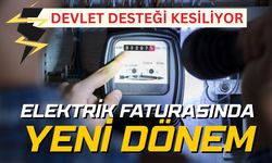 EPDK kararı Resmi Gazete'de: Devlet desteği limiti 4 bin KW indi