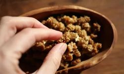 Her gün bir avuç yeter! Uzmanlar bu besini öneriyor