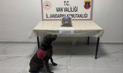 Van ve Hakkari Jandarmasından zehir tacirlerine ortak operasyon